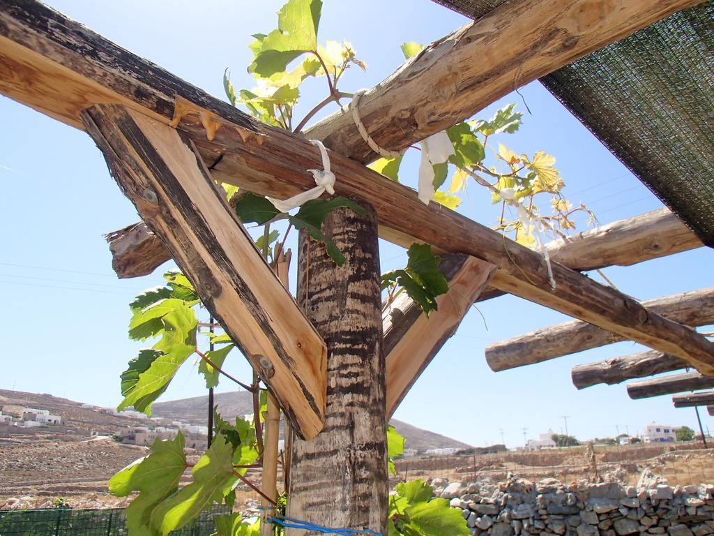 Pavlosx2 Folegandros Town Exterior foto