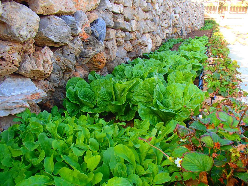 Pavlosx2 Folegandros Town Exterior foto